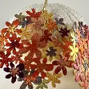 IMG_9831.webp