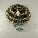 IMG_0623 (1).webp