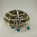 IMG_0620 (1).webp