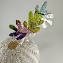 IMG_9756.webp