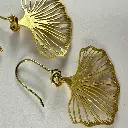Une Ginkgo 