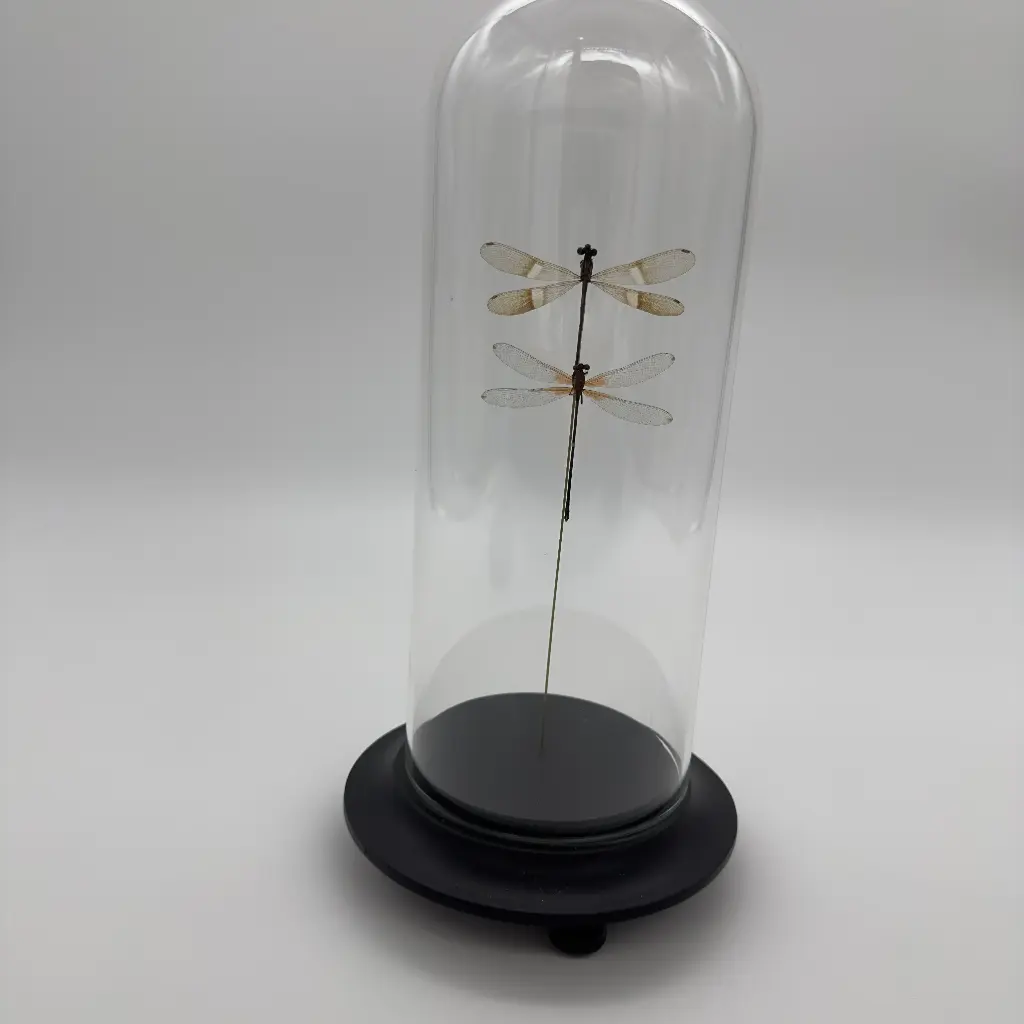 Cloches Deux Demoiselles 