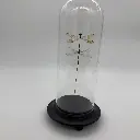 Cloches Deux Demoiselles 