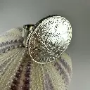 Bague 1 Franc plat