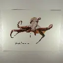 Carte postale motif marins