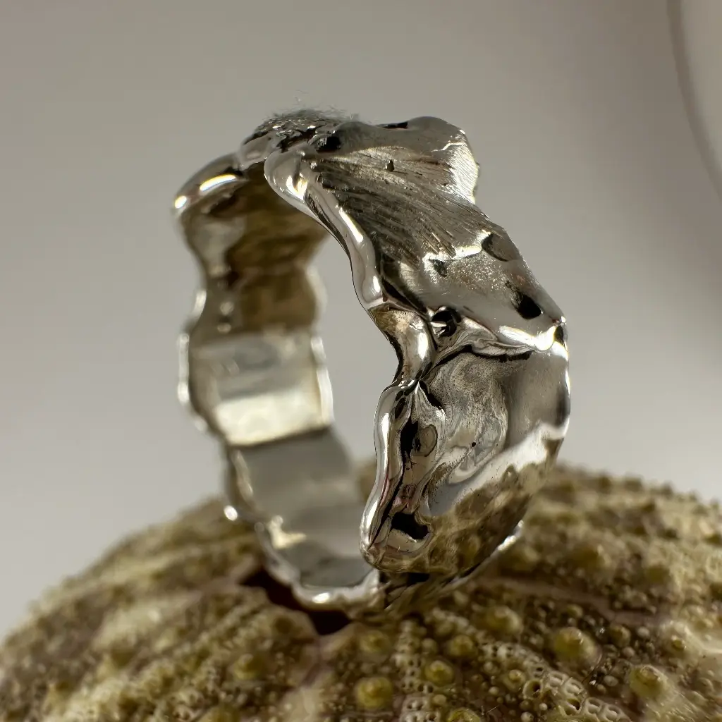 Couronne d'Argent  