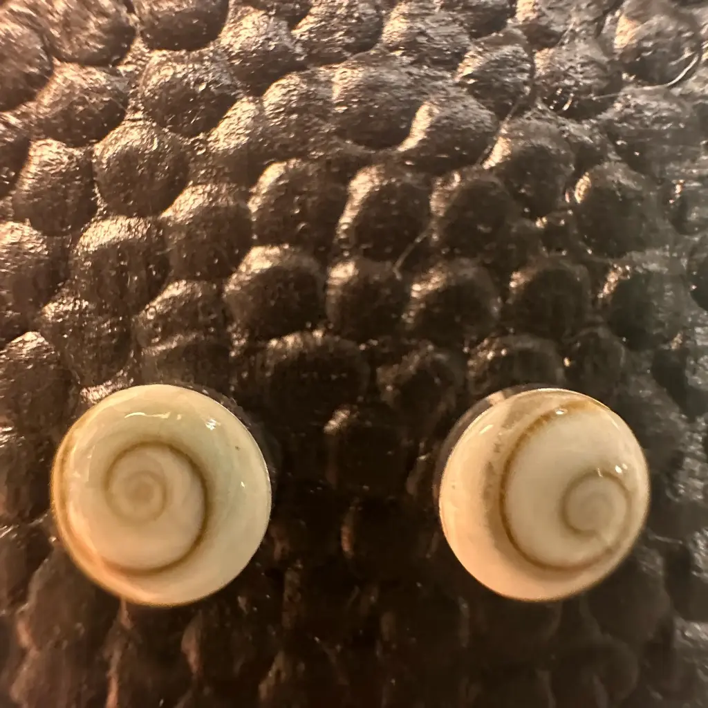 B.O coquillage petites puces 