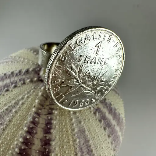 Bague 1 Franc plat