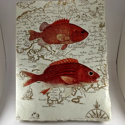 Grand carnet motif poisson couleur rouge