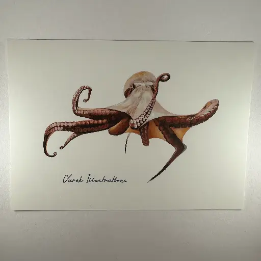 Carte postale motif marins