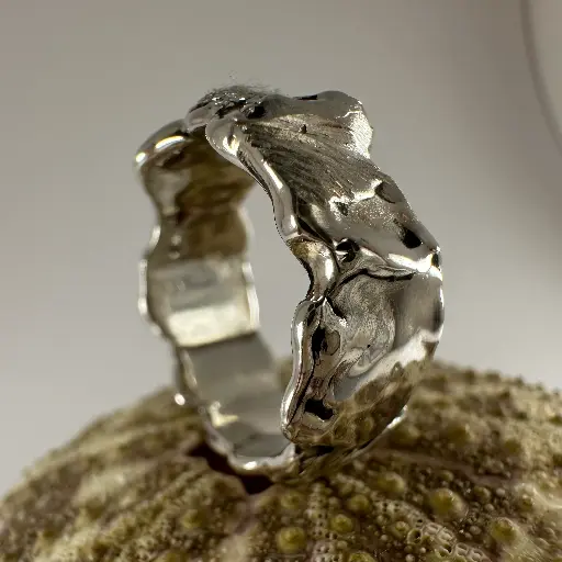 Couronne d'Argent  