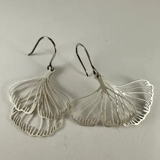 [AR00020] Deux Ginkgo Biloba